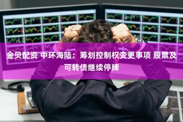 金贝配资 中环海陆：筹划控制权变更事项 股票及可转债继续停牌