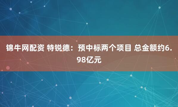 锦牛网配资 特锐德：预中标两个项目 总金额约6.98亿元