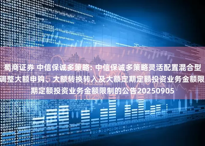 蜀商证券 中信保诚多策略: 中信保诚多策略灵活配置混合型证券投资基金(LOF)调整大额申购、大额转换转入及大额定期定额投资业务金额限制的公告20250905