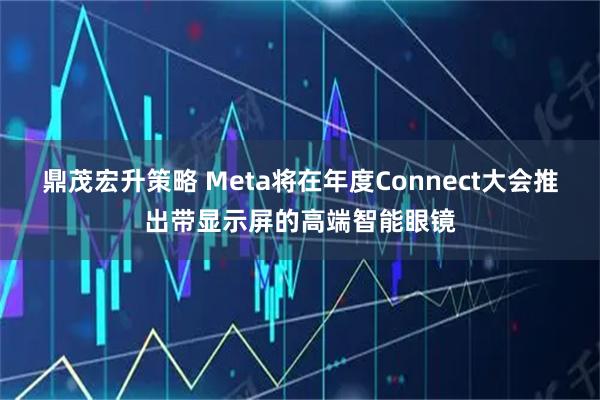 鼎茂宏升策略 Meta将在年度Connect大会推出带显示屏的高端智能眼镜