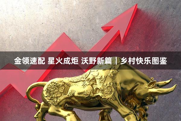 金领速配 星火成炬 沃野新篇｜乡村快乐图鉴